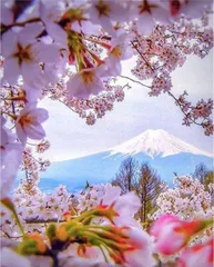 2023年最新】富士山絵画の人気アイテム - メルカリ