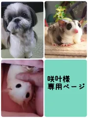 咲叶様専用ページ