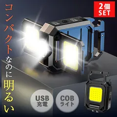 COBライト 2個セット カラビナライト マグネット 小型 作業灯 ライト ミニライト 緊急照明用 カメラ用穴 マルチライト ミニ投光器 Type-C充電式 高輝度 磁石付き アウト小型ライト COB