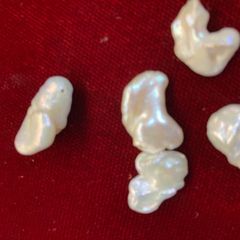 けし淡水パール5　パーツ10粒