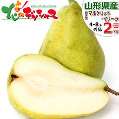 【予約/9月下旬(9月19日)頃～出荷予定】 山形県産 西洋梨 マルゲリット・マリーラ 2kg (秀品/4玉～8玉入り) 洋梨 ギフト 贈り物 お祝い 内祝い プレゼント ご家庭用 果物 フルーツ 山形県 山形県直送 グルメ お取り寄せ