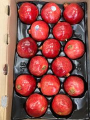 【北海道/九州専用】ザクロ　15玉入り