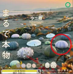 2025年最新】うにのショップはこちらの人気アイテム - メルカリ