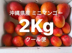 ※最盛期の為、タイムSALE！沖縄県産【完熟ミニマンゴー】クール便 3Kg 沖縄産マンゴーミニマンゴー アーウィン種 アップルマンゴー3kg