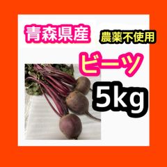 無農薬　ビーツ　5kg 青森県産　LサイズからSサイズ　詰め合わせのサムネイル