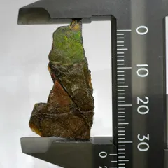 E23935】 アンモライト アンモナイト 化石 カナダ産 虹色 レインボー パワーストーン - メルカリ