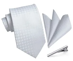 【迅速発送】HISDERN A3-01 結婚式 シルバー ネクタイ チーフ タイクリップ 3点セット 幅8.5cm メンズ ブランド ギフト ボックス付き 冠婚葬祭 婚礼用 礼服用 紳士用 新郎 12柄