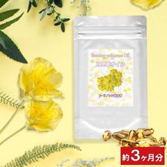 月見草 サプリメント γリノレン酸含有 月見草オイル お徳用９０粒(約３ヶ月分) 美容サプリ 美容サプリメント サプリメント ガンマリノレン酸 月見草油 栄養機能食品 イブニング プリムローズ 女性 健康食品 通販 冬