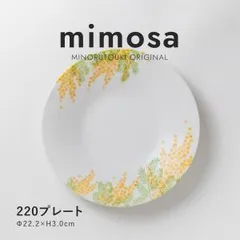 【新品・5営業日で発送】MINORUTOKI みのる陶器 【mimosa(ミモザ)】 220プレート 日本製 美濃焼 食器 皿 オリジナル (a13264965583056409)【入数:10】