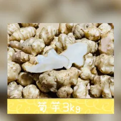菊芋　キクイモ　きくいも　農家直送　道の駅　産地直送　農薬　化学肥料不使用　新鮮野菜　スーパーフード