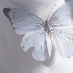 shop-thumbnail