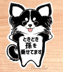 ときどき孫を乗せてます【わんこチワワ.ブラックホワイト】マグネットタイプ/シールタイプ/吸盤タイプ