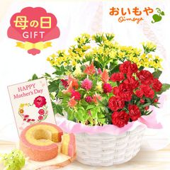 【おいもや公式】母の日限定 寄せ植え【レッドミックス】 苺 バウムクーヘン スイーツ 洋菓子 お菓子 鉢植え プレゼント 生花 花 カーネーション ケイトウ カランコエ ヘデラ 赤 黄色 おしゃれ かわいい (お届け時期:5/5～11のいずれか)