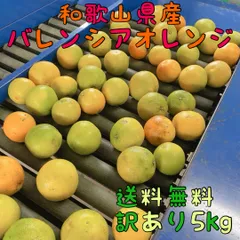 訳あり2箱セット 国産バレンシアオレンジ MIXサイズ 4kg x2 2025年最新】バレンシアオレンジの人気アイテム - メルカリ