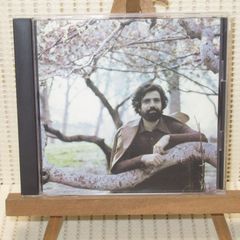 CD　フェリックス・キャヴァリエ　デスティニー　帯なし　PCCY-00738　FELIX CAVALIERE　DESTINY　ラスカルズ　RASCALS