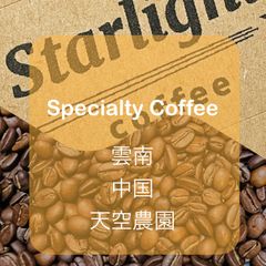 数量限定　お試し価格　中国　雲南 農薬化学肥料不使用コーヒー豆 200g