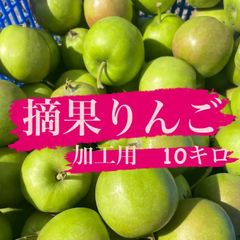 摘果りんご　サンふじ　加工用約10キロ