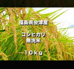 福島県会津産 コシヒカリ 10kg