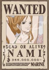 ワンピース　カードダスマスターズWANTEDナミ ワンピース ナミ Wanted ポスター ワンピースマガジン 付録 手配書