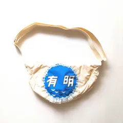 有明ヘッドマーク 特急有明号◇ヘッドマーク事典 | HM事典新館