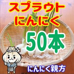 スプラウトにんにく　驚きの栄養価 発芽にんにく 50本 にんにく親方