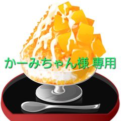 かーみちゃん様専用