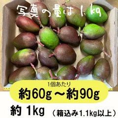 【黄:60-90g】約1キロ　グリーンマンゴー 青マンゴー　摘果マンゴー 約1kg
