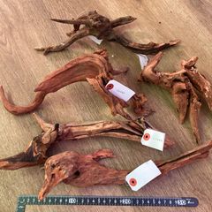 引退品】アクアリウム流木20本セット - メルカリ