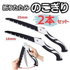 Item thumbnail for item 6e4dbbc0-4580-4158-a62c-e0b8032692e8