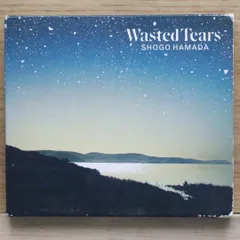 Wasted Tears」浜田省吾 初回限定盤 紙ケースCD - メルカリ