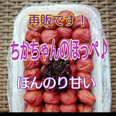 本場紀州南高梅 みなべ町産 ほんのり甘い『ちかちゃんのほっぺ』800g