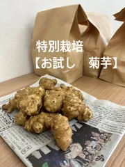 お試し用！【自然栽培　菊芋】コンパクト便にぎっしり！