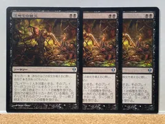 mtg ZEN 島 foil ゼンディカー 8枚 フルアート 日本語