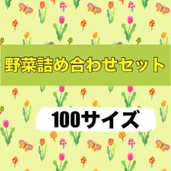 農家直送‼️おまかせ野菜詰め合わせセット‼️100サイズ‼️クール便