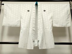 Item thumbnail for item 6fa40b16-2bef-4fa7-a62a-8594b0376735