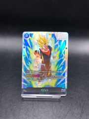 ドラゴンボールフュージョンワールド　ベジット scr