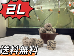 高品質納豆菌パワーリング2L