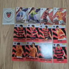 2025年最新】浦項スティーラースの人気アイテム - メルカリ