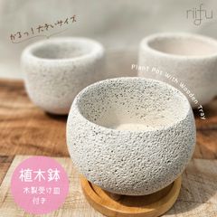 〚大きいサイズ♡ 植木鉢 + 木製受け皿付き 〛軽い鉢 塊根植物　コーデックス　観葉植物