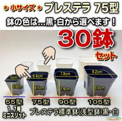プレステラ75-(硬質スリットポット/スリット鉢2号相当)-黒・白・混色⇒30鉢セット販売＊多肉植物・塊根植物コーデックス・アガベ・サボテン・ハオルチア＠フラワーショップ江口