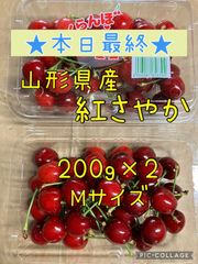 山形県産さくらんぼ「紅さやか」200gパック×2【 Mサイズ 】