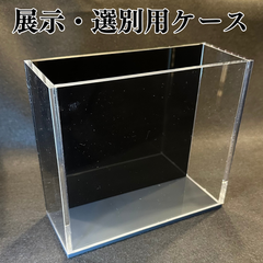 【五藤めだか】展示用AB品 Type ib(黒・グレー) メダカ用 ケース