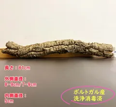 2025年最新】コルク樹皮 キャノンの人気アイテム - メルカリ