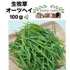 生牧草 オーツヘイ 100ｇ 無農薬  ペットちゃんのオヤツに 小動物 puipuifarm プイプイファームのサムネイル