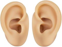 Item thumbnail for item 34690663-c99a-4247-a64e-bdba1a3c0021