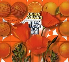 LUCKY OLD SUN 邦楽 レコード LUCKY OLD SUN 邦楽 レコード