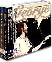 最安値 送料無料 匿名配送 柳GEORGE 20枚セット アルバム CD 柳