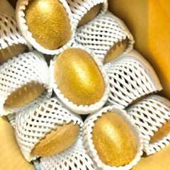 今季最後　キウイフルーツ　ヘイワード２kg