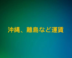 沖縄、離島など送料追加