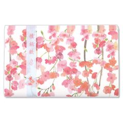 Item thumbnail for item a7a02f9c-fd86-4368-9507-505e45661eb6